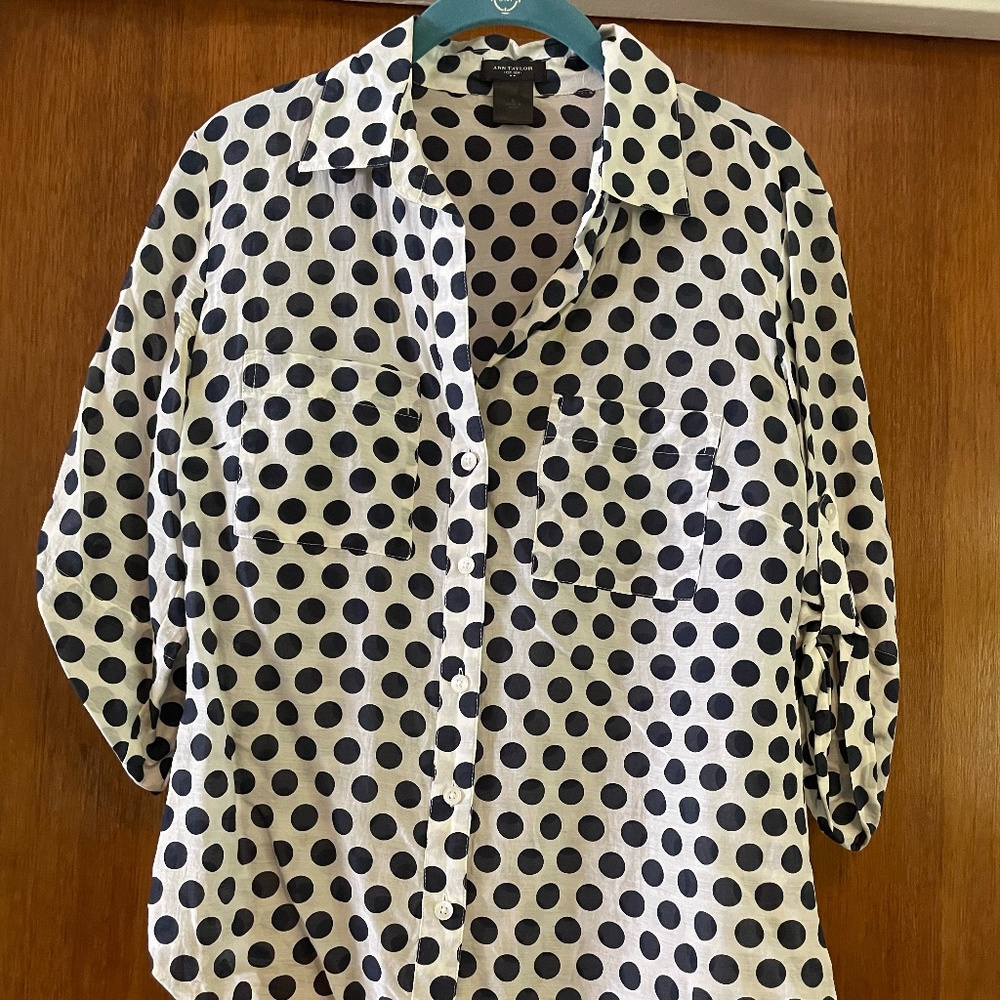 Ann Taylor Polka Dot Blouse